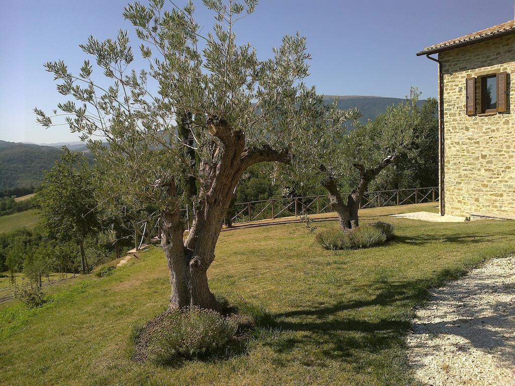 Agriturismo Paradiso 44 Assise Extérieur photo