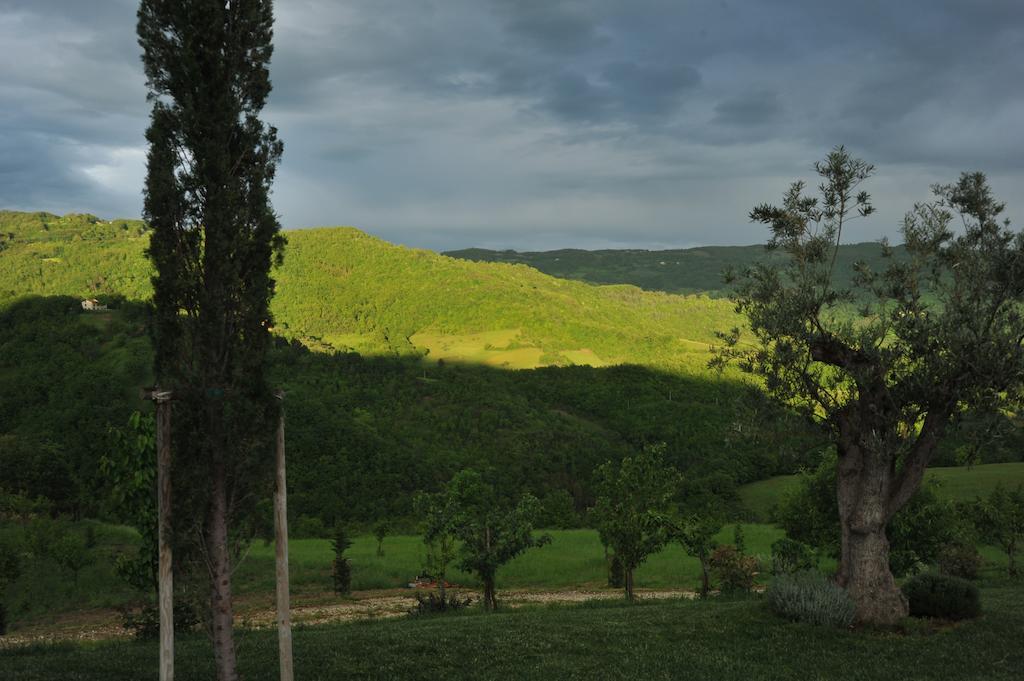 Agriturismo Paradiso 44 Assise Extérieur photo