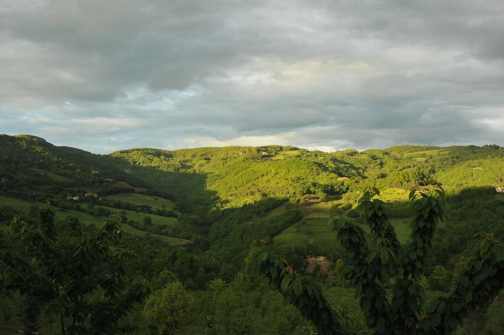 Agriturismo Paradiso 44 Assise Extérieur photo