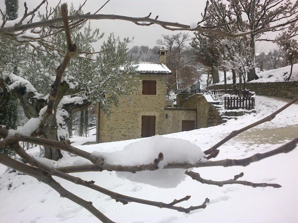 Agriturismo Paradiso 44 Assise Extérieur photo