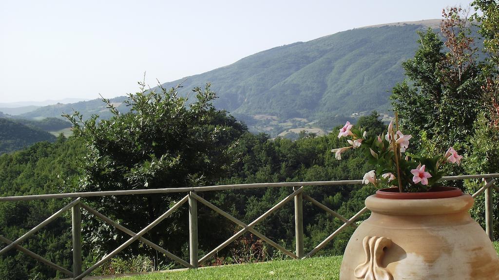 Agriturismo Paradiso 44 Assise Extérieur photo