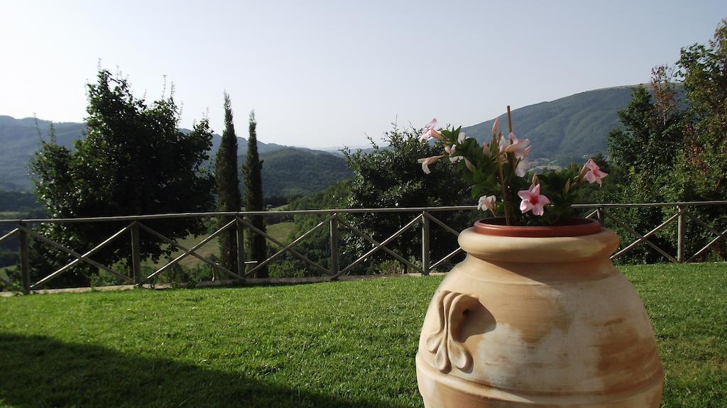Agriturismo Paradiso 44 Assise Extérieur photo