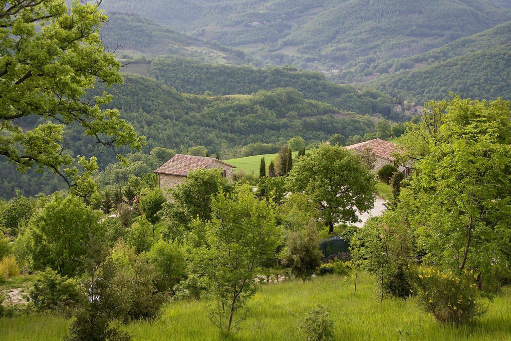 Agriturismo Paradiso 44 Assise Extérieur photo