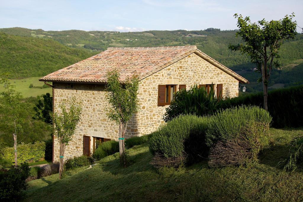 Agriturismo Paradiso 44 Assise Extérieur photo