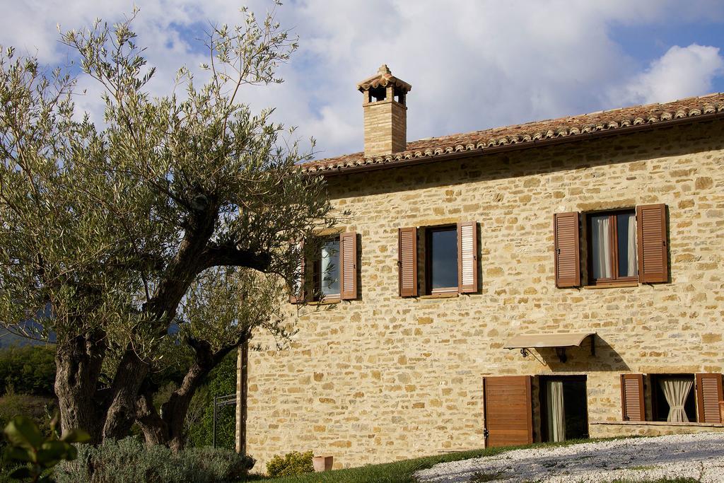 Agriturismo Paradiso 44 Assise Extérieur photo